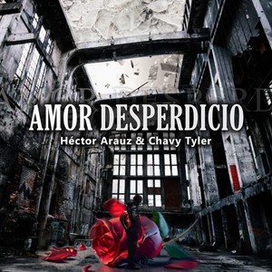 Amor Desperdicio