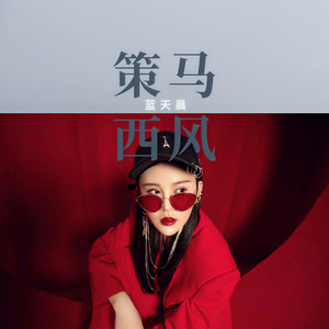 策马西风 (DJ默涵版)