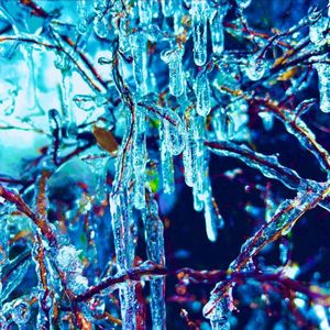 Examination (Explicit)