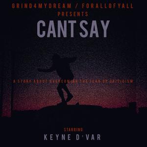 Cant Say (Radio Edit)
