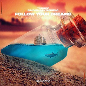 Follow Your Dreams (Radio Edit)