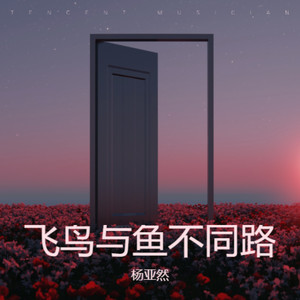 飞鸟与鱼不同路