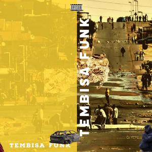 Tembisa Funk (2.0) (feat. Audio Buffet) (Remix)