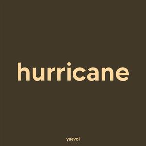 hurricane (lofi version)