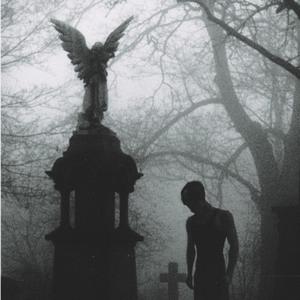 REVELANCE (Explicit)