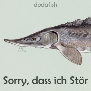 Sorry, Dass Ich Stör