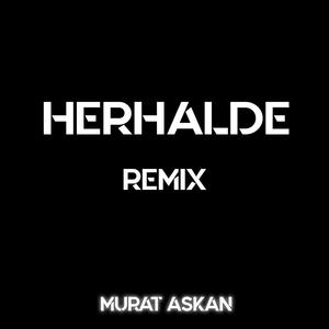 Herhalde (Remix)