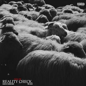 Reality Check (feat. Kashan Ali) (Explicit)