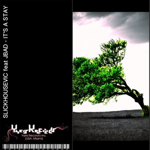 It's A Stay (D-Town Remix)