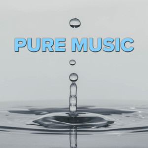 Pure Music