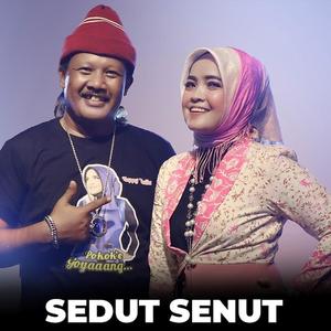 Sedut Senut