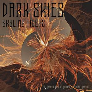 Dark Skies (feat. *Thommo*)