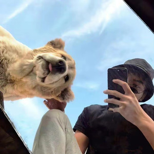 王俊骅 - 年度最佳全旋律V4