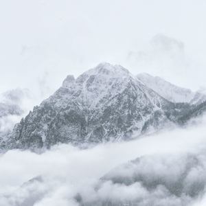 We Wish You a Merry Christmas