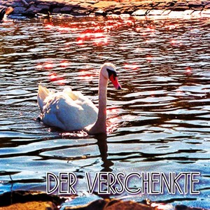 Von Stimmen und Lügen (Überarbeitet 2024|Explicit)