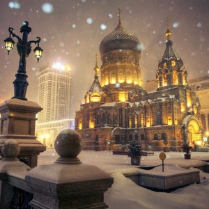 卖玫瑰的女孩 (Live)