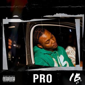 Pro (Explicit)