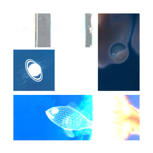 セイカンユウギョ