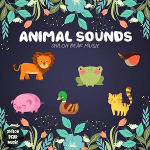 Animal Sounds