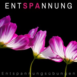 EntSPAnnung: Entspannungsübungen, Beruhigende Meditationsmusik,Yoga, Spa, Massage, Reiki, Heilende Geräusche der Natur