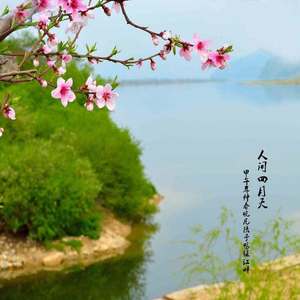 你是人间四月天 (Demo)