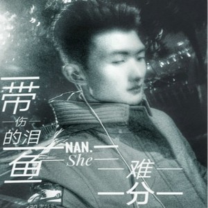 鱼先声 - 难舍难分