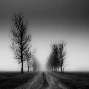 Benny Bannani - Ikke meget omtale