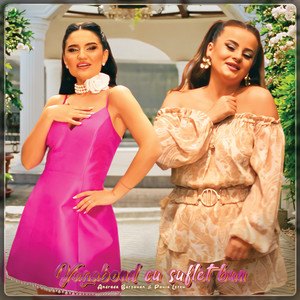 Vagabond Cu Suflet Bun