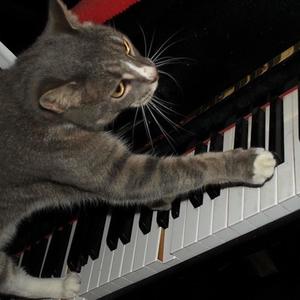 Kattens dans på klaveret(feat. Frank Goldberg & Per Mjöbäck)