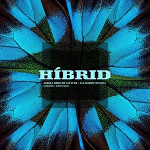 Andrea Robledo Acevedo - Luces, Sombras… Aire