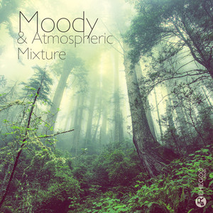 Moody & Atmospheric Mixture