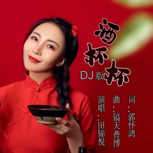 酒杯杯 (DJ默涵版)