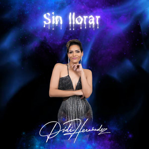 Sin Llorar (COVER版)