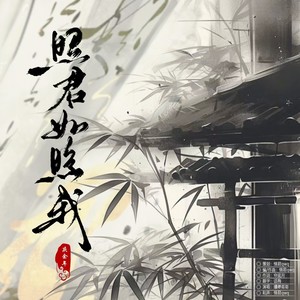 照君如照我 (伴奏)