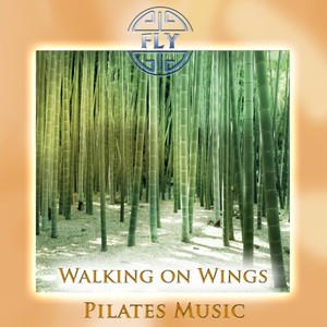 Walking on Wings (Pilates Version)