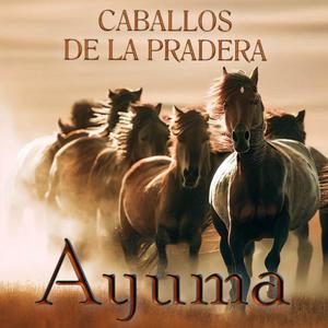 Caballos De La Pradera