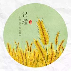 芒种 (粤语女声版)