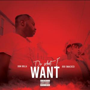 DO WHAT I WANT (feat. Don Dolla) [Explicit]