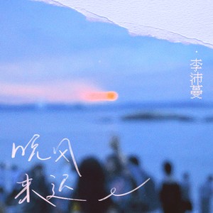 沛沛 - 晚风来迟 (DJR7版)