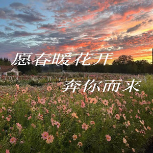 愿春暖花开奔你而来 (伴奏)