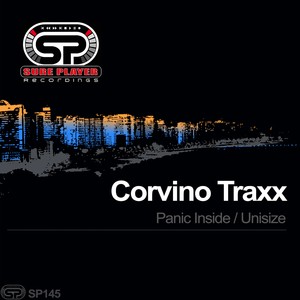 Panic Inside (Original Mix)