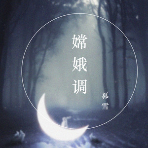 嫦娥调 (DJ名龙版)封面
