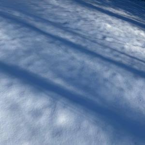 A Stroll in the Snow