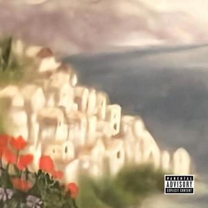 NEVER LEAVE (Explicit)