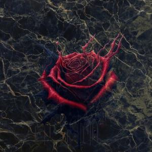 VENERE/BEAR GRYLLS (feat. Nowei)