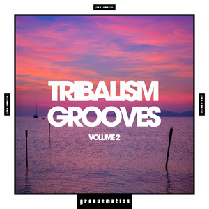 Tribalism Grooves, Vol. 2