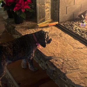 On My Life (Explicit)