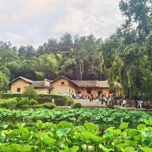 我要和你变成量子纠缠