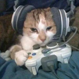 xbox (Explicit)