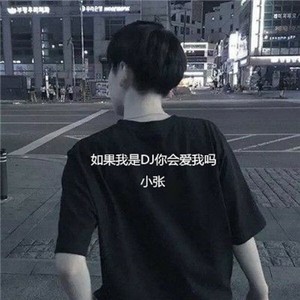 我爱上了一个女孩